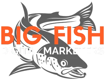 best digital marketing agency, big fish digital marketers, marketing