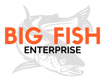 Big Fish Digital Marketers, website traffic analysis, local digital marketing agency, Schedule an Appointment​