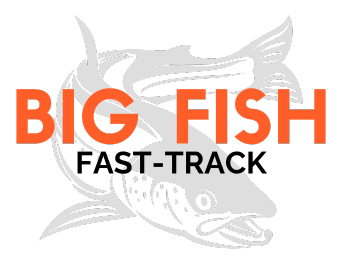 Big Fish Digital Marketers, website traffic analysis, local digital marketing agency, Schedule an Appointment​